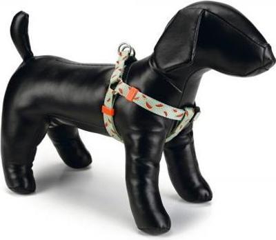 Beeztees Melon - Hondentuig - Lichtgroen - 60-100 cm