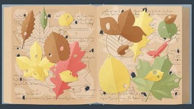 A Little To The Left A Little To The Left