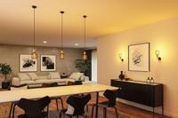 Paulmann 71134 Hanglamp E27 Zwart (mat), Goud - thumbnail