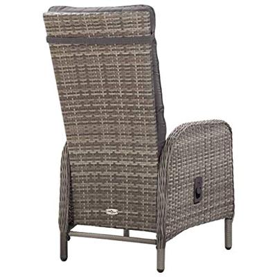 11-delige Tuinset poly rattan grijs