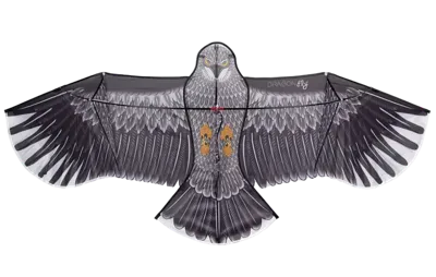 Dragon Fly Vlieger Eagle