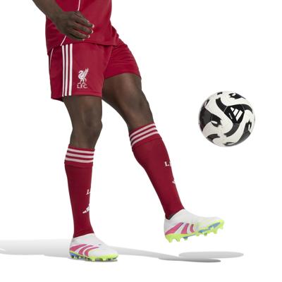 Liverpool Thuis Broekje Senior 2025/2026 - Maat L - Kleur: RoodWit | Soccerfanshop