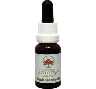 Australian Bush Bush gardenia 15 Milliliter
