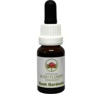 Australian Bush Bush gardenia 15 Milliliter - thumbnail