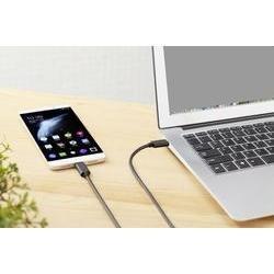 Renkforce USB-kabel USB 3.2 Gen2x2 USB-C stekker, USB-C stekker 1.00 m Zwart Vergulde steekcontacten RF-4381071