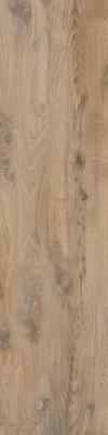 Nebraska Elm 30x120 rett