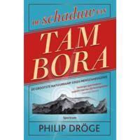 De schaduw van Tambora - Philip Dröge - Hardcover (9789000343607) - thumbnail