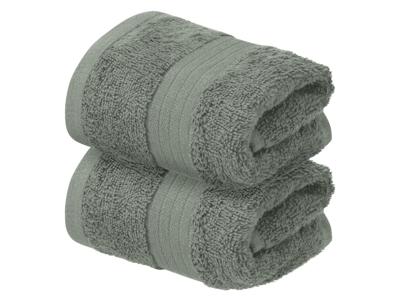 LIVARNO Set van 2 gastendoekjes 30 x 50 cm (Mint)