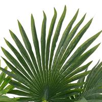 Kunstplant met pot palm 70 cm groen - thumbnail