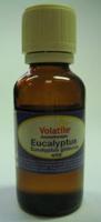 Volatile Eucalyptus Wild - thumbnail