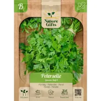Peterselie gewone snij 3 500st - thumbnail