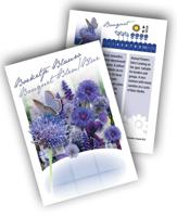 Cadeau premium Boeketje Blauw (100 zakjes) - thumbnail