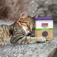 KONG NATURALS CATNIP KATTENKRUID 60 GR - thumbnail