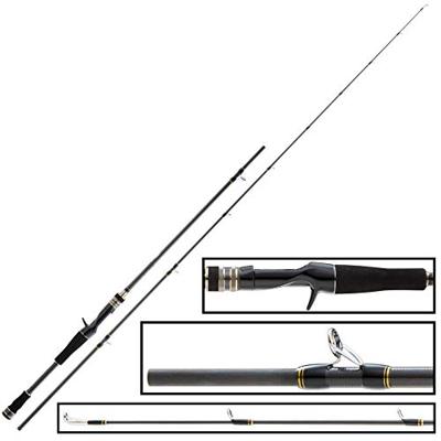 Hearty Rise Valley Hunter Cast 2.07 m 4-21 gr 692m