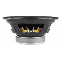 Fenton 10 inch HiFi Woofer met PP conus - thumbnail