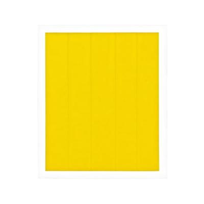 Thermal Grizzly Kapton Insulation Sheet - thumbnail