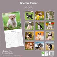 Tibetaanse Terrier Kalender 2026 - thumbnail