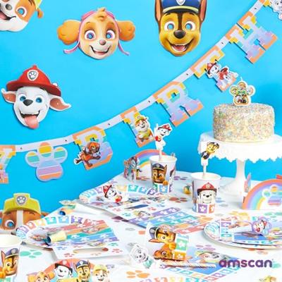 Haza Witbaard Paw patrol ballonnen, 6st.