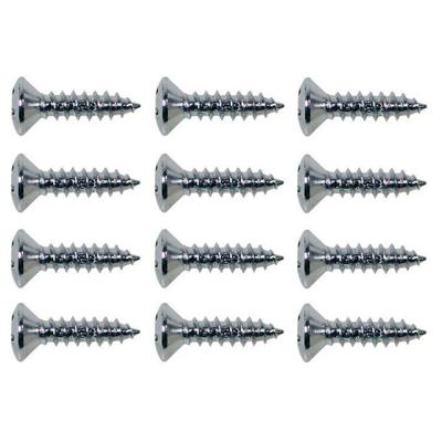 Boston TS-01-C schroeven voor slagplaat 12 stuks chroom