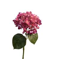Roberts Collection Hortensia real touch 75cm mauve - thumbnail