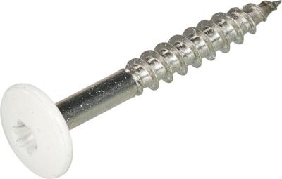 Hoenderdaal Fasteners Hoenderdaal hpl schroef rvs-a2 torx tx20 zuiver wit ral9010 4.8x25 | 100 stuks - 0346.30.37124 Hoenderdaal Fasteners Hoenderdaal hpl schroef rvs-a2 torx tx20 zuiver wit ral9010 4.8x25 | 100 stuks - 0346.30.37124