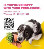 Fofos super stuiterbal - thumbnail