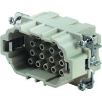 Weidmüller 1826810000 Stekker inzetstuk 18 + PE Crimpen 1 stuk(s) - thumbnail