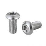 Elvedes Remschijfboutjes m5 × 11 rvs (10 stuks)