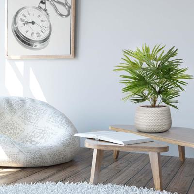 Baby Fan kunstpalm 45cm Baby Fan kunstpalm 45cm