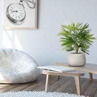 Baby Fan kunstpalm 45cm - thumbnail
