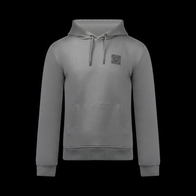 Hoodie Sam Stone grey