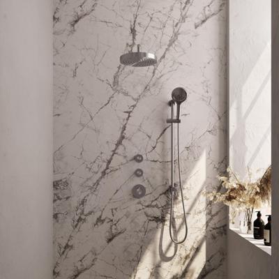 Brauer Stripe thermostatische inbouw regendouche SET 11 met 25 cm douchekop en gebogen muurarm en 3-standen handdouche en doucheslang en geintegreerde glijstang RVS-kleurig geborsteld PVD