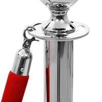 3-delige VIP afzetpalenset roestvrij staal zilverkleurig - thumbnail