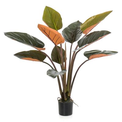 Philodendron plant h120cm groen Emerald - Emerald
