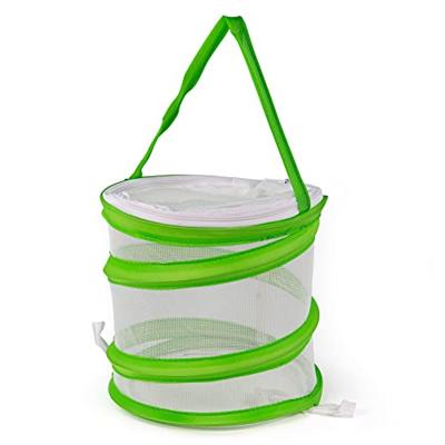 Bigjigs pop-up insectennet