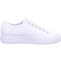 Paul Green 4081 - alle - thumbnail