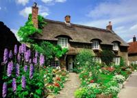 Delightful Dales Puzzel 1000 Stukjes - thumbnail