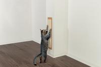 TRIXIE RADIATOR HANGMAT IGLO WIT / GRIJS 34X38X38 CM - thumbnail