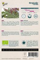 Zaden Organic Salie (BIO) Buzzy - Buzzy - thumbnail