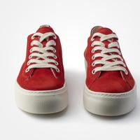 Paul Green 4790 - alle - thumbnail