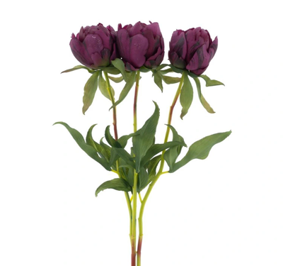 Paeony Marlie bundle a 3 pcs aubergine 48 cm kunstbloem Erutan Avon - Erutan avon