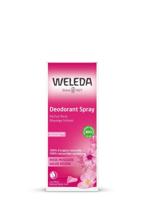 Weleda Wilde Roses Deodorant Spray 100 ml - thumbnail