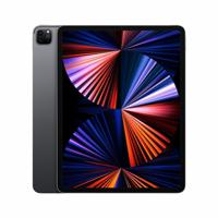 Refurbished iPad Pro 12.9 256 GB (2021) Space Gray Als nieuw - thumbnail