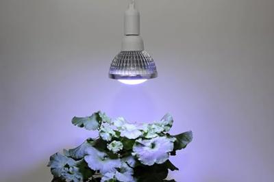 Venso Kweeklamp 136 mm 230 V E27 18 W Neutraalwit Reflector 1 stuk(s)