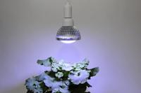 Venso Kweeklamp 136 mm 230 V E27 18 W Neutraalwit Reflector 1 stuk(s) - thumbnail