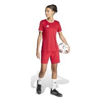 adidas Entrada 26 Voetbalbroekje Dames Rood Wit - thumbnail