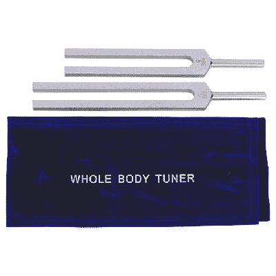 Stemvorken C & G voor Het Hele Lichaam