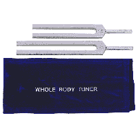 Stemvorken C & G voor Het Hele Lichaam - thumbnail