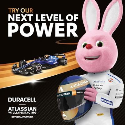 Oplaadbare Batterijen DURACELL