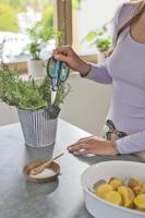 GARDENA HerbCut Set snoeischaar - thumbnail